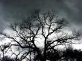 Before the Storm