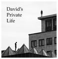 David's Private Life
