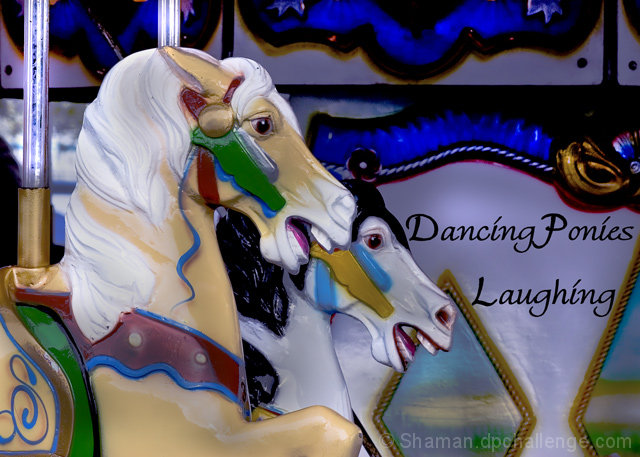 Dancing Ponies Laughing