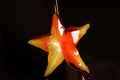 Snooth Star Fruit