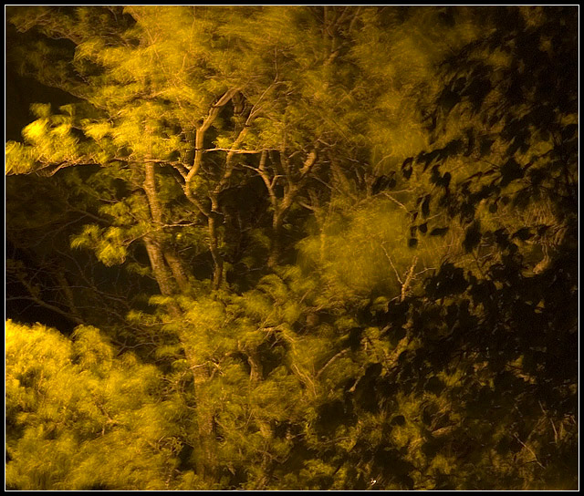 Silky-smooth winds of a spring night