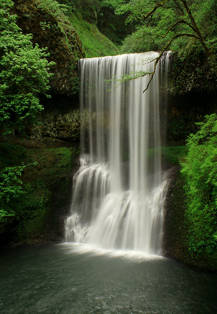 Sheer Curtain of Lothlorien