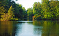 On Golden Pond