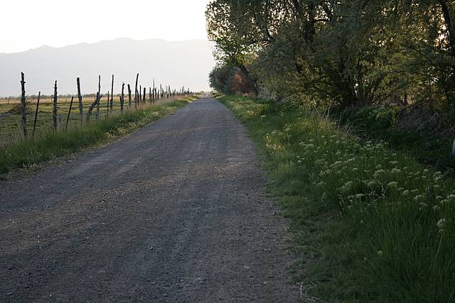 Country Lane