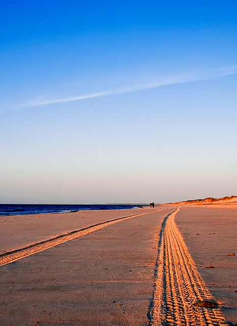 Jeep Tracks on Sandy Neck