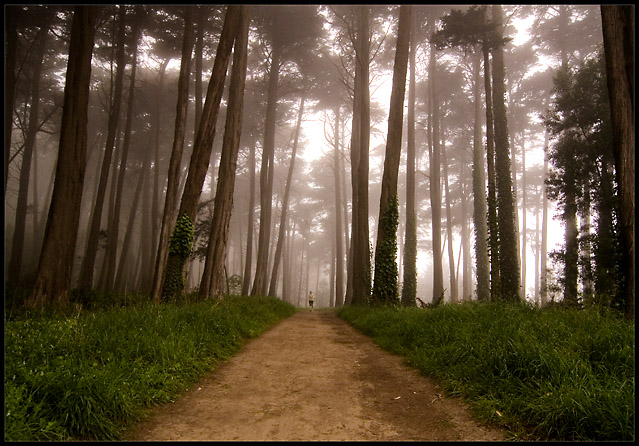 Morning Sentinels