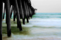 The Sea