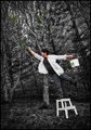 The landscape painter