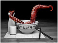 Waiter, My Dinner is Moving!