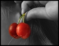 Cherry earrings