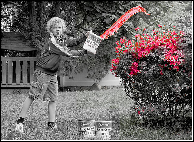 Color My World