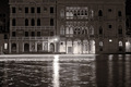 venicecrazy