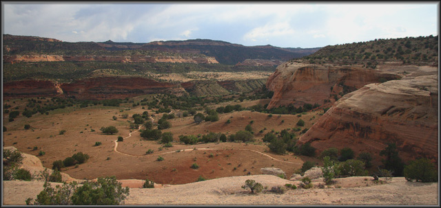 A mountain biker's "Dreamscape"