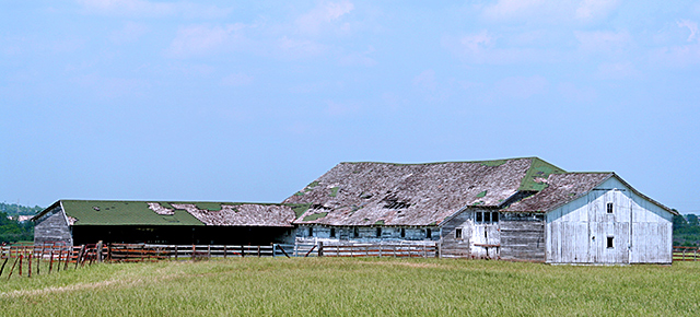 Barns