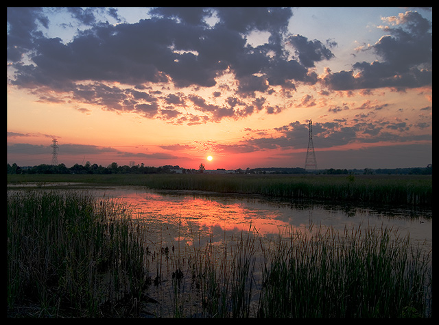 Wetland