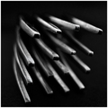 Forks