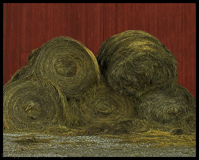 A Roll in the Hay