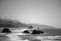 The Gathering: Water Meets Land