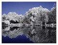 Reflections of Narnia