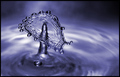 Water Mushroom