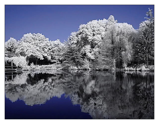 Reflections of Narnia