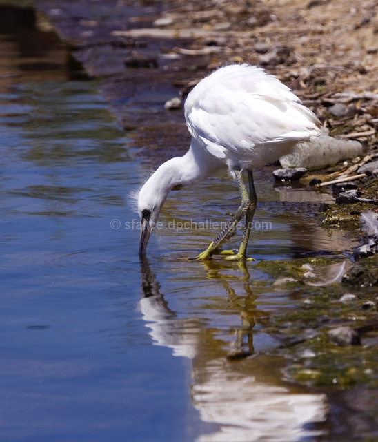 At Water's Edge