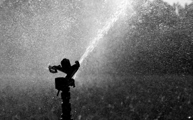 Water in the Wind