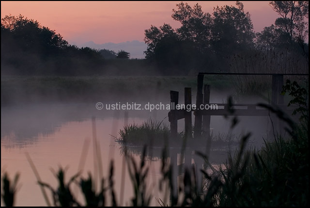 Morning Mist