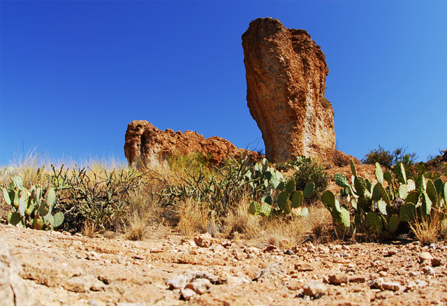 Parched Landscape