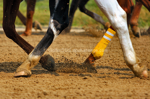 Kicking Up The Dirt