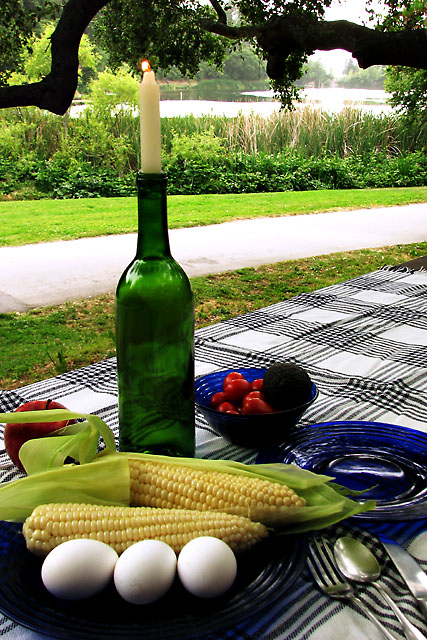 Picnic by Candlelight