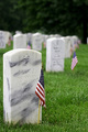 Flags of Remembrance