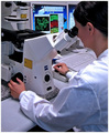 Confocal Microscope Zeiss LSM510 Sub-cellular observation