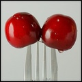 Double Cherry