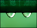 Green Droplets