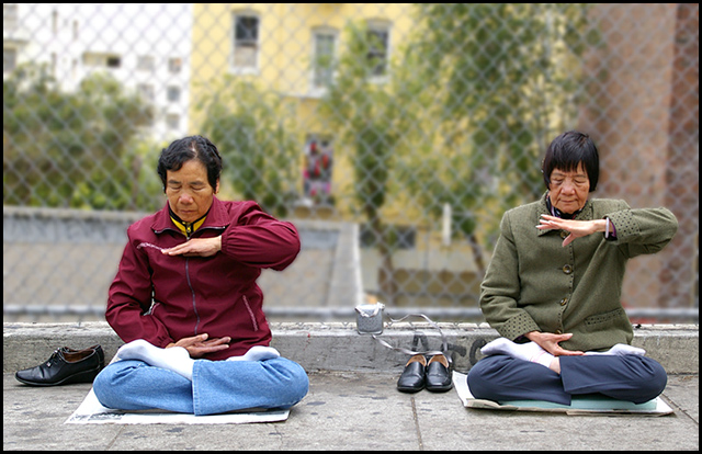 Double Lotus on Sidewalk