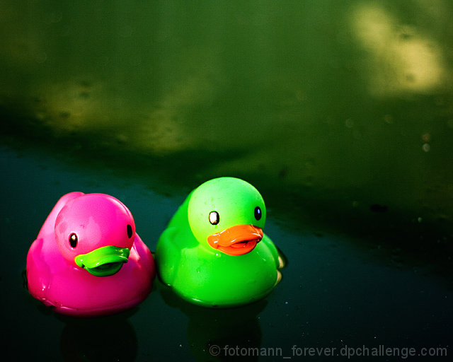 Double Duckies