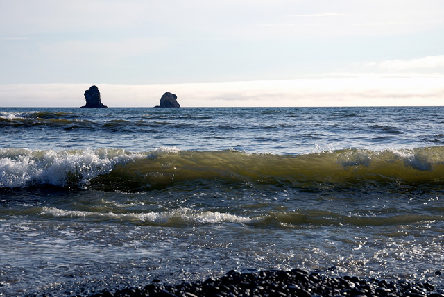 Sentinels of the Sea