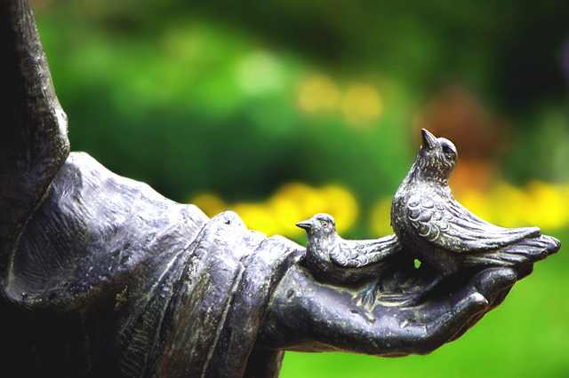 A Bird in Hand