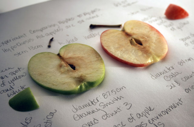 Comparing Apples to Apples