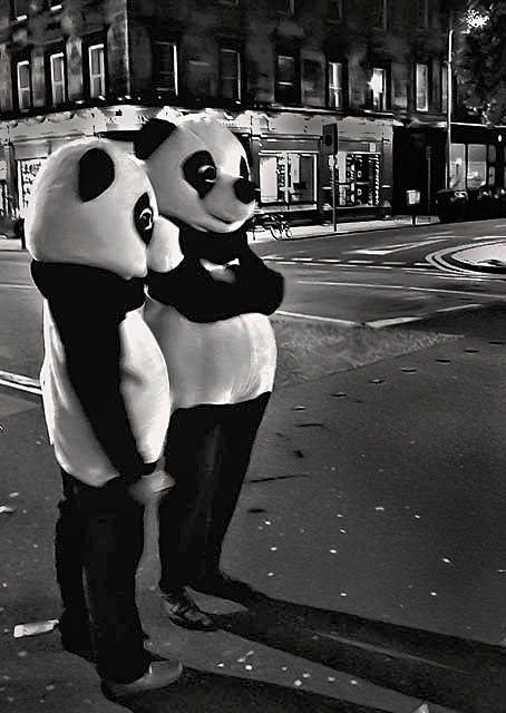 Panda city