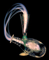 Elixir