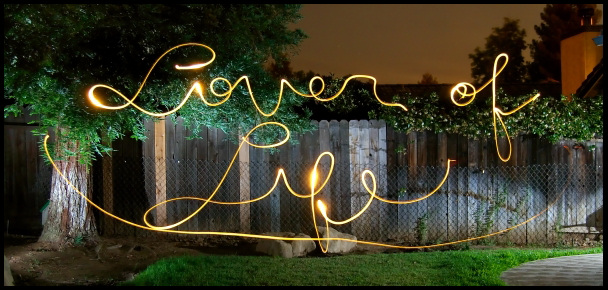 Lover of Life