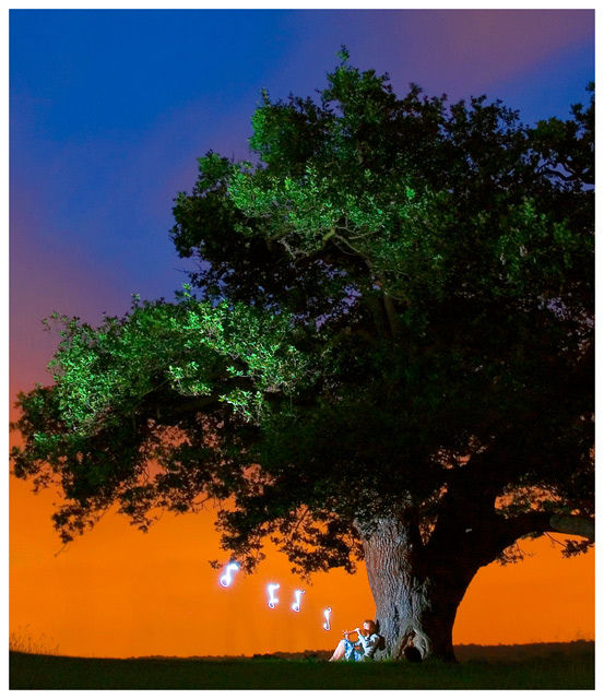 The Magic Flute