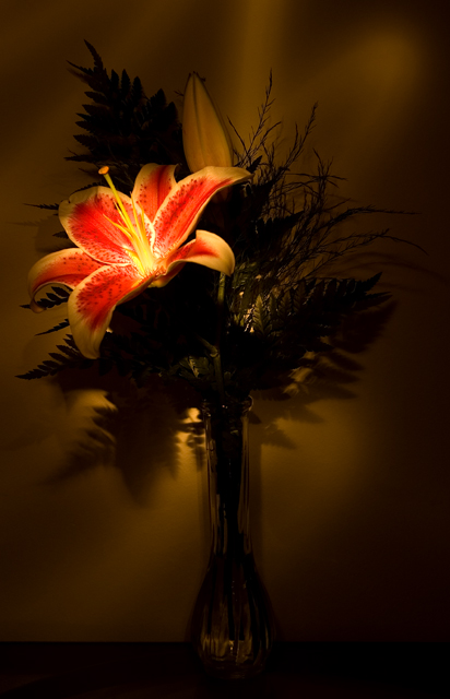 Lily Lantern