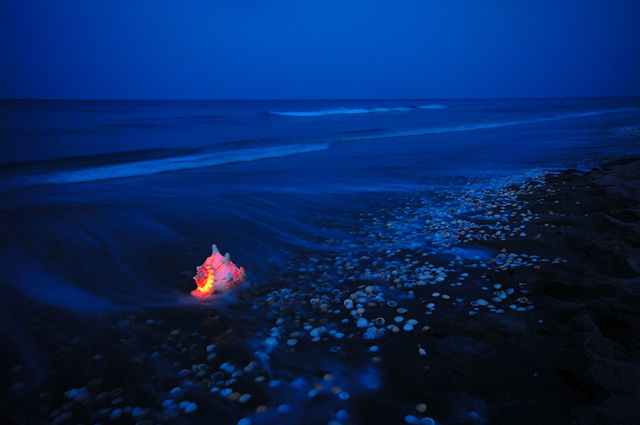 Washing Ashore