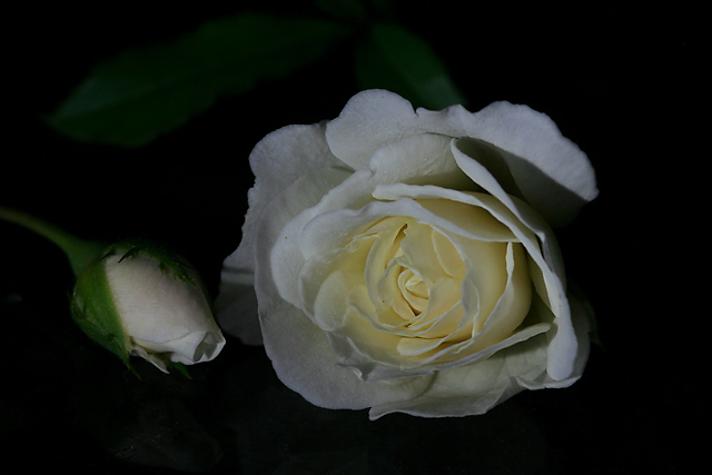 Simplicity