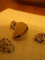 Pistachoco on Graph