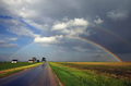 Why Are There So Many Songs About Rainbows?