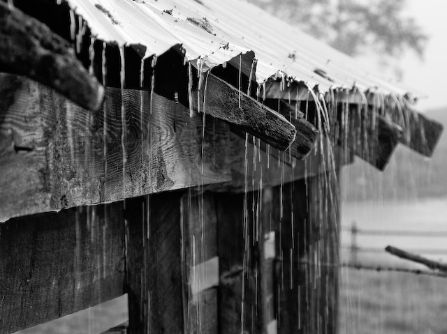 Why Does the Rain Fall From Up Above?